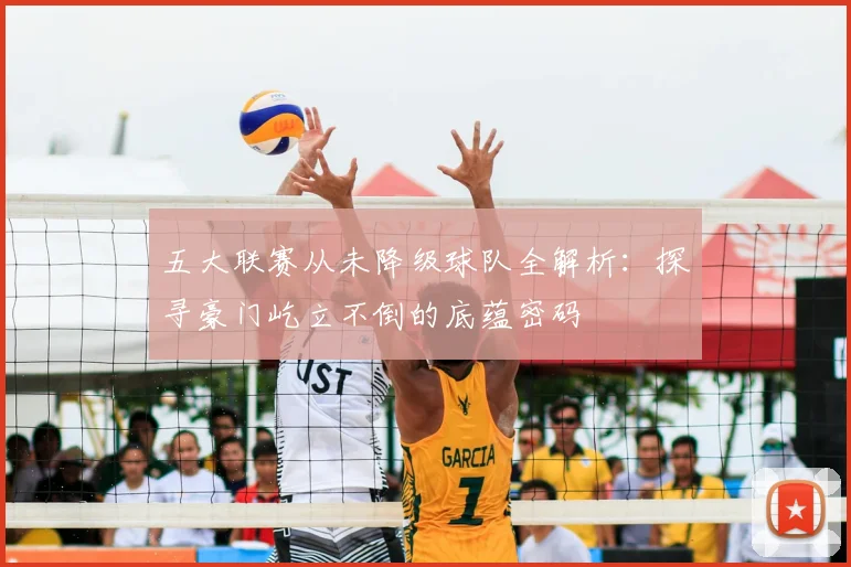 五大联赛从未降级球队全解析：探寻豪门屹立不倒的底蕴密码