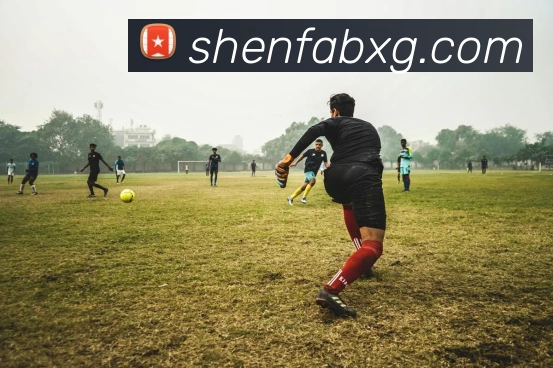 奖项2